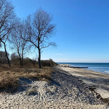 Design Trifft Ostsee - Miramare 29 Ostseeallee Ostseebad Kühlungsborn